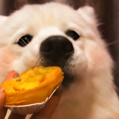ins风微信头像
