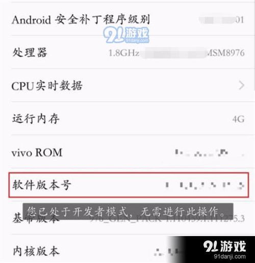 iqooneo开发者选择怎么设置iqooneo打开开发者选项方法介绍