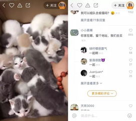 全网最美奶奶挑战军阀太太,快手播放超千万微抖快红爆款