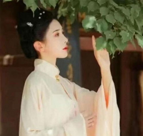 军婚军嫂刚抱完双胞胎就晕了,原来太太肚里还有仨众人晕了