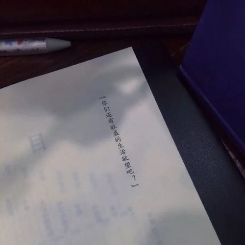 今日份文案句子,请查收腾讯新闻