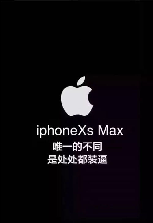 抖音岂止于装逼手机壁纸大全