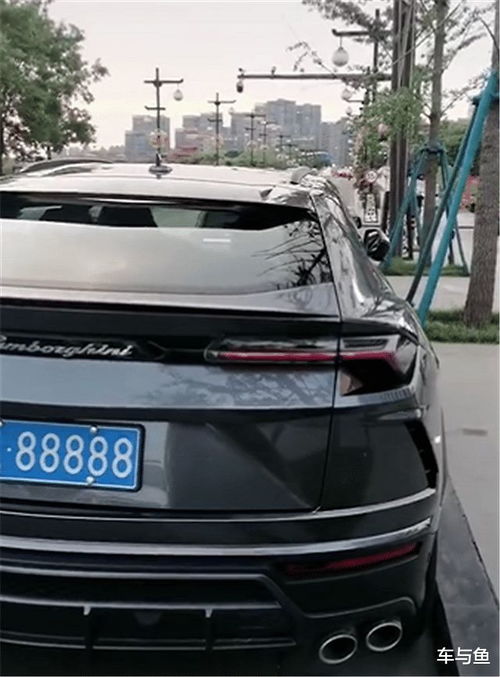 西安网红车,兰博基尼urus,全车风暴灰,挂88888牌常被人偷拍