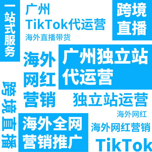 tiktok抖音代运营