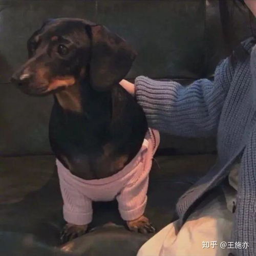 有没有什么一见就爱的萌童头像