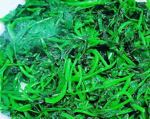 大叔家的快手小菜素炒豌豆苗,咸鲜味美,滑嫩脆爽,家人爱吃春分