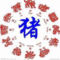属猪微信吉祥头像图片微信头像图片大全