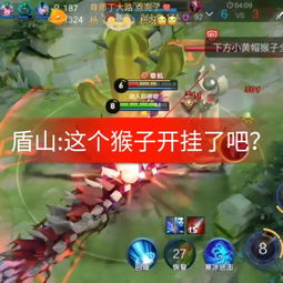 头像快手猴王