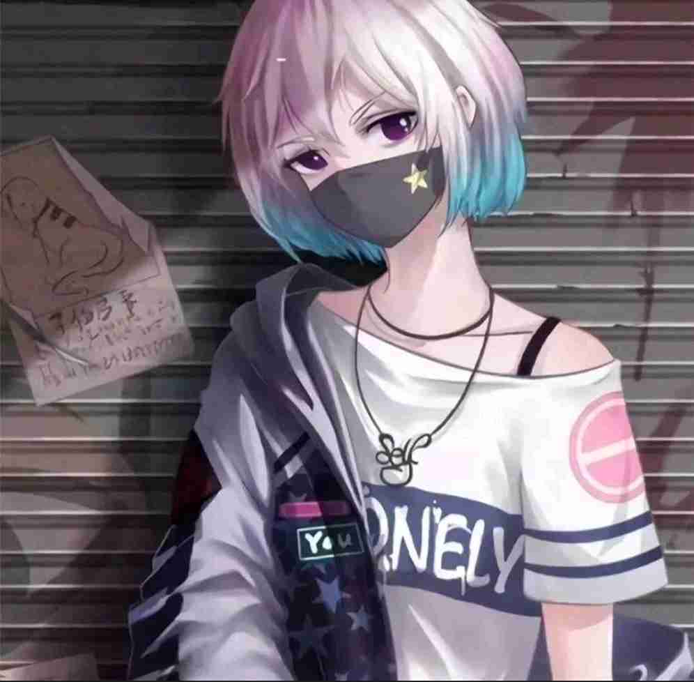 主理人是不是明星