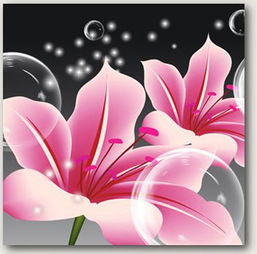 这画中花的名字叫什么,最好能告诉我哪里找到这套画的源图