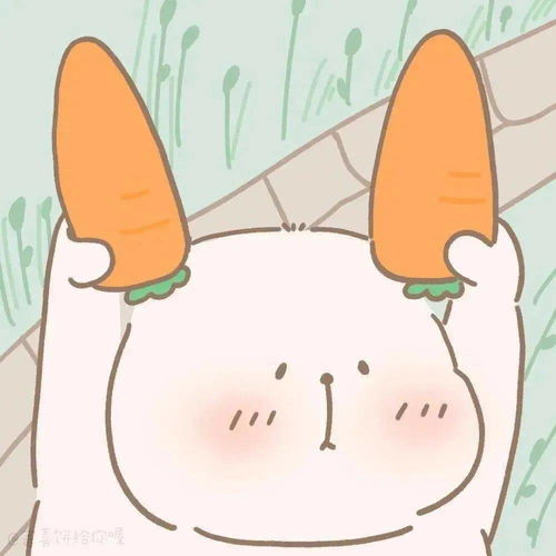 ins风微信头像已收藏