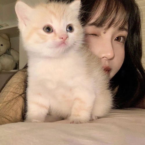 ins招桃花女生头像