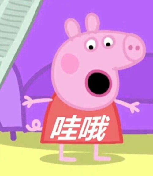 在谈恋爱时,你做过最浪漫的事是什么
