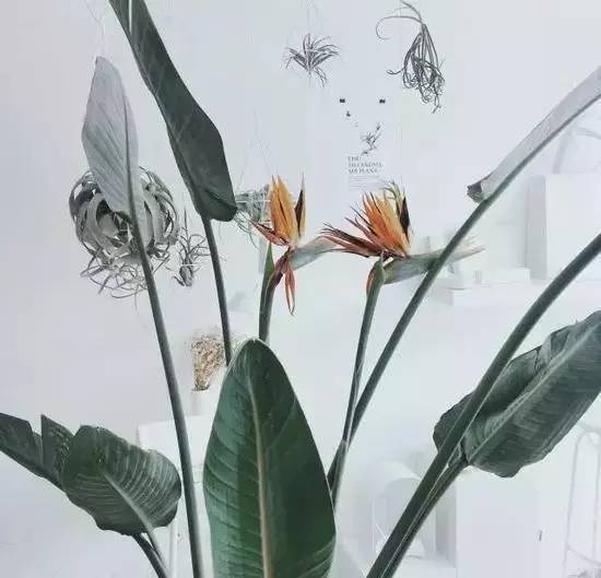 好用不贵不得不备的24件家居好物,把ins风装进家