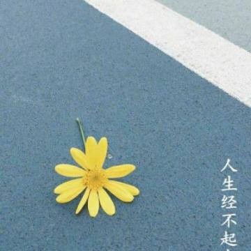 微信励志头像带有文字图片,文字头像图片