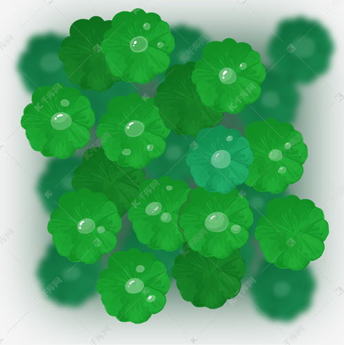白露小清新四叶草露水手绘插画素材图片免费下载千库网