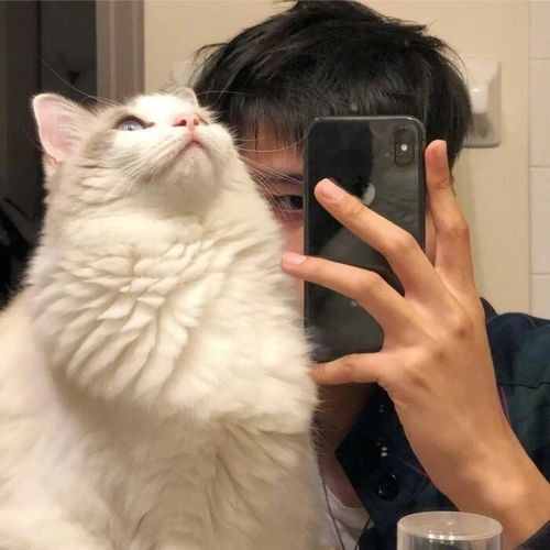 网易云热评很后悔中学没有好好学习,每天无所事事,中考落榜了,没有