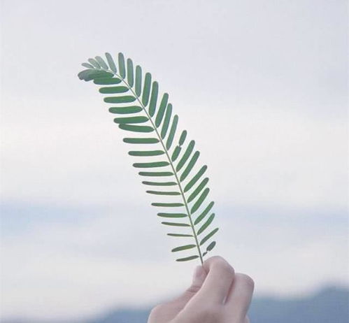 5月中旬,爱情睡醒了遍地桃花,将邂逅意中人,顺利脱单的星座处女