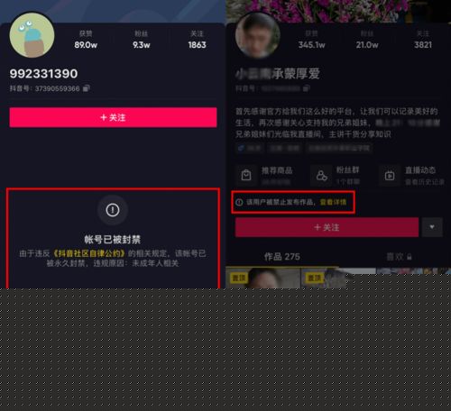 抖音上线帐号处罚公示功能提升违规打击工作透明度