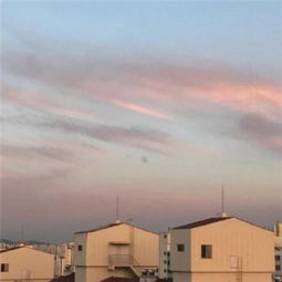 风景静物唯美微信图像64