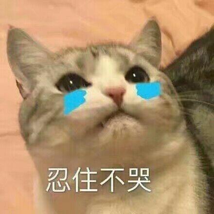 女友对他说把铁棒磨成针我就嫁给你,他真的快做到了