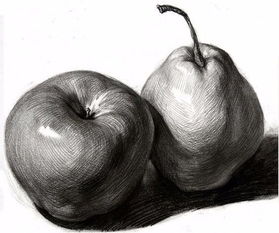 让美术生画到崩溃的素描静物大合集画哪一个的时候你哭了