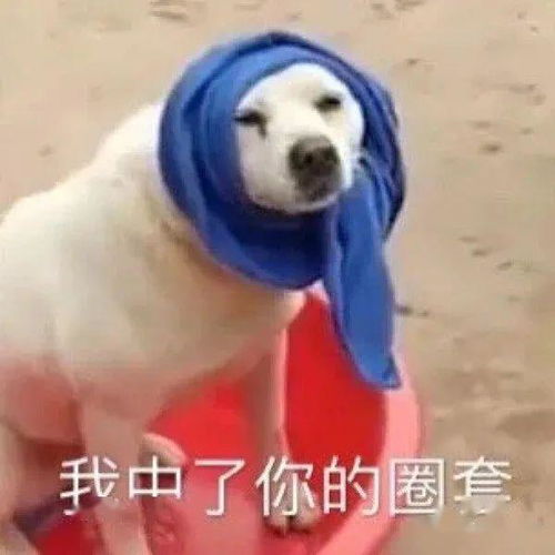 抖音吴世勋和抖音朴灿烈直播间狭路相逢,滤镜一关诈骗组合一网打尽