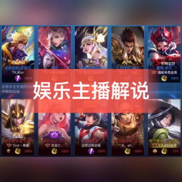 糖饼哥王者荣耀婉儿教学快手直播