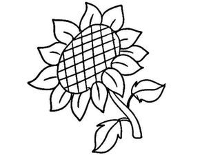 ins风简笔画头像青苹果竹芋