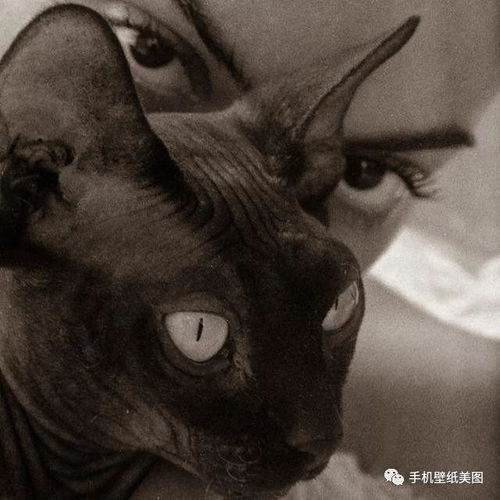 抖音头像渣女,渣男头像,请查收