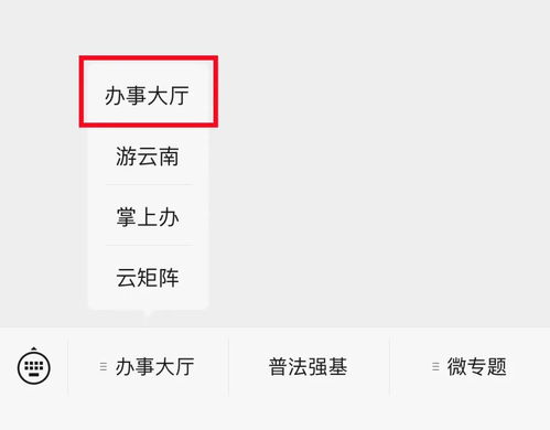 教你办每月不少于50元申领高龄津贴,上云南发布