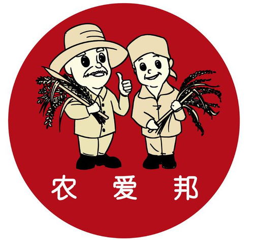 为什么大多农村女孩外出打工,不愿意再回老家原因很现实