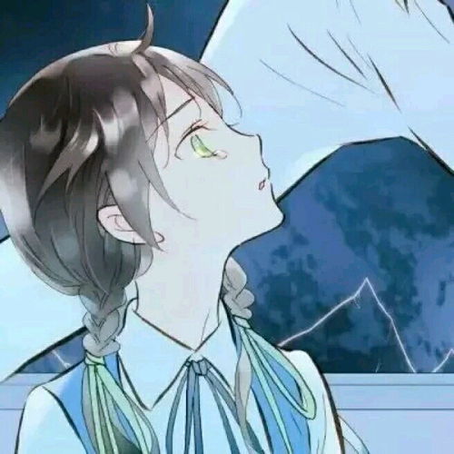 每周100张第一期