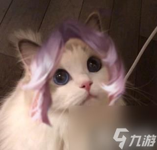 九游游戏中心王者荣耀猫咪刺客头像大全