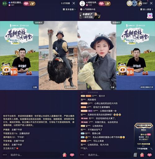 央视主持化身养殖站长连麦快手三农创作者,畅聊鸵鸟养殖那些事儿