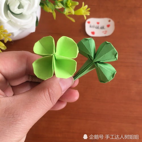 每片叶子都有着不同的意义三叶草