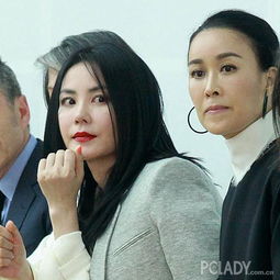 徐若瑄贾静雯大s钟丽缇70后女星变少女系辣妈团