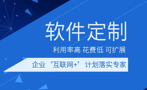 分析营养搭配软件开发的优势