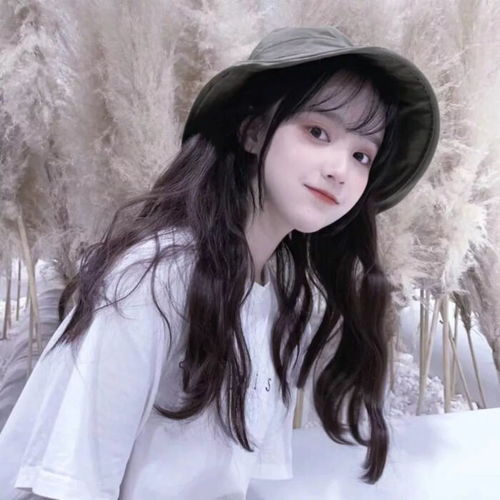 无标题