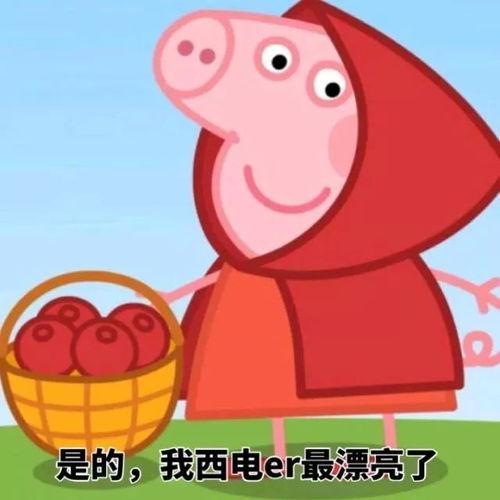 男生头像ins高级质感小猪佩奇
