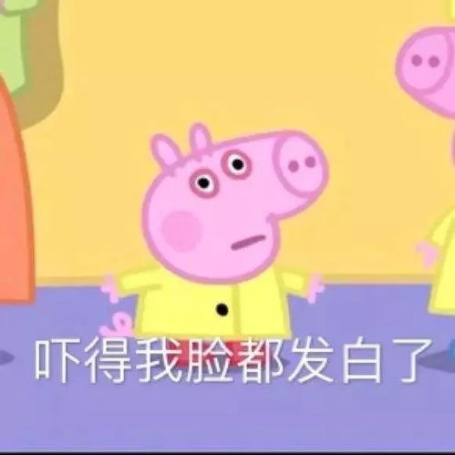 从无肉不欢到佛系菜单,只需要一个新年