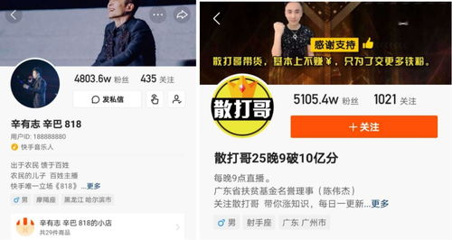 快手正在抛弃辛巴散打哥