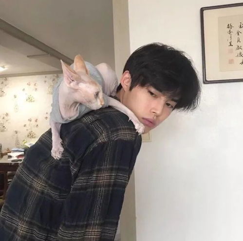 头像很多离开只是为了被挽留
