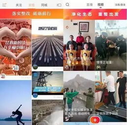 从今天起,这四款新闻类app被暂时下架了