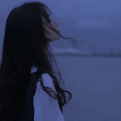 ins蓝色系女头