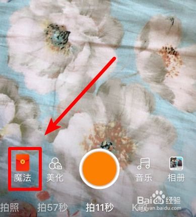 抖音熊二跳舞ar特效视频怎么弄