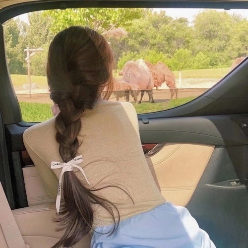 不看脸的女生头像愿你做个小富婆,肤浅又快乐