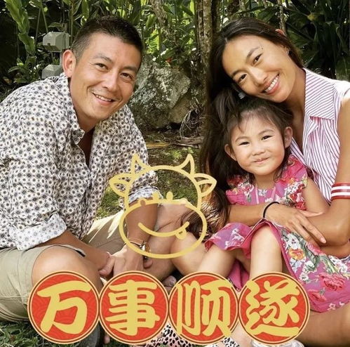 下周穿什么陈冠希秦舒培的衬衫,不如他们女儿那件