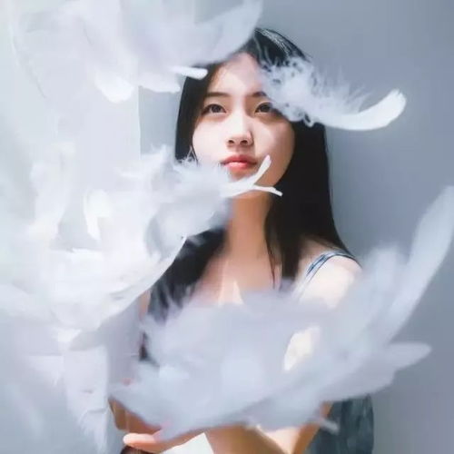 梦系广外艺术学院欢迎你