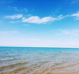 七月,你不在青海湖,就一定在去青海湖的路上